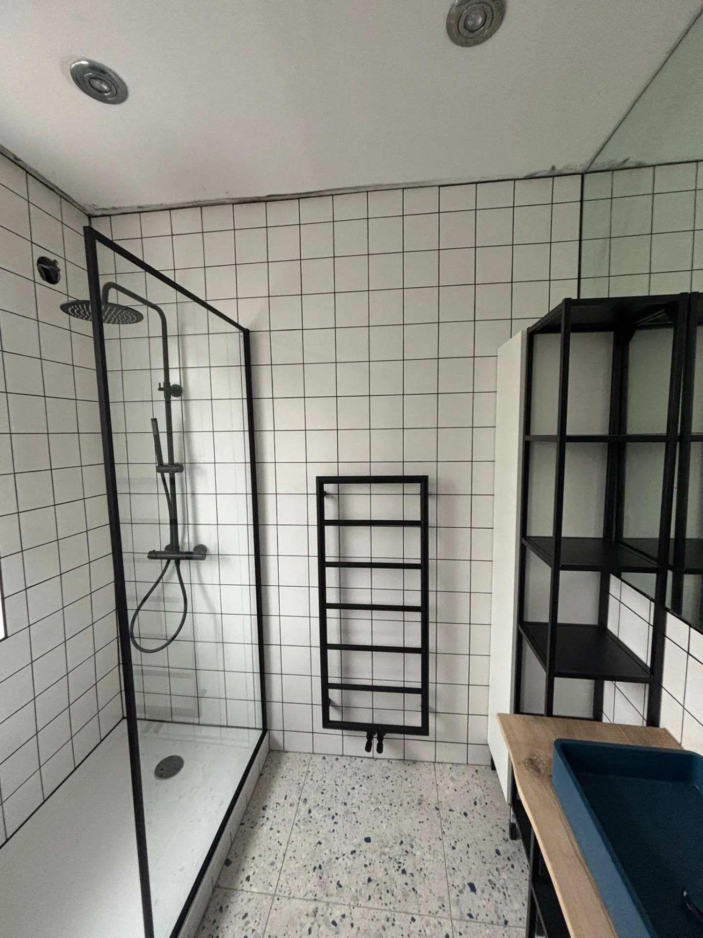Bathroom with white tiles, black grout and black-framed shower screen